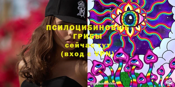прущие грибы Армянск