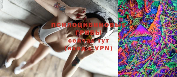 MESCALINE Аркадак