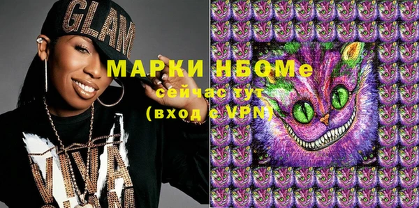 мдпв Арсеньев