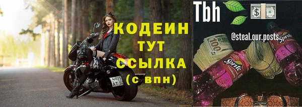 прущие грибы Армянск