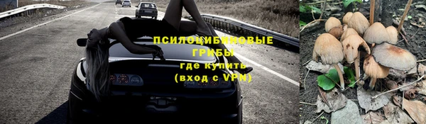 прущие грибы Армянск